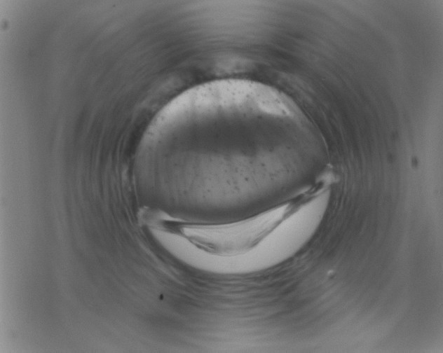 X0000075900327200610151822