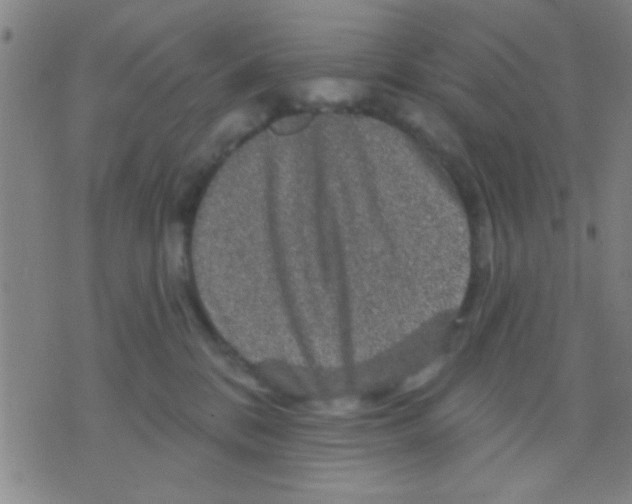 X0000075900328200610151822