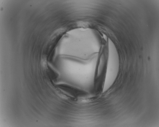 X0000075900329200610151822