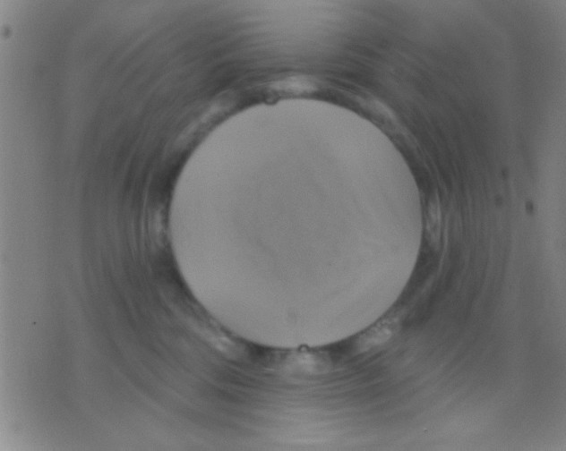 X0000075900330200610151822