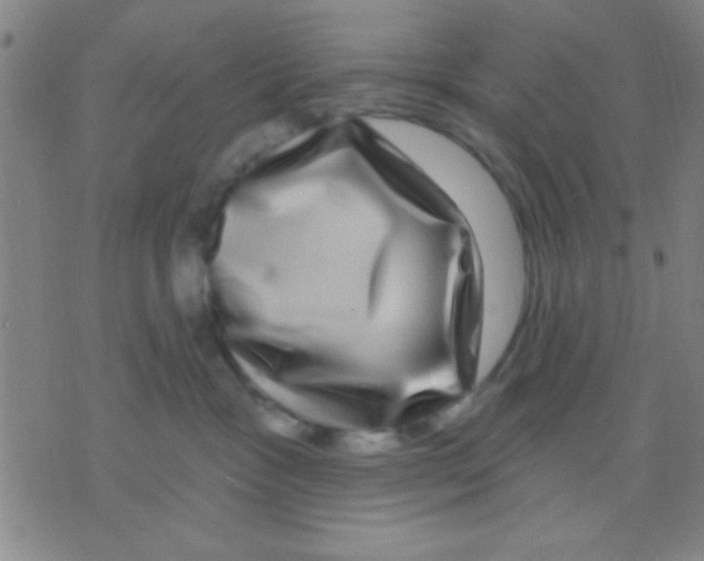 X0000075900333200610151822