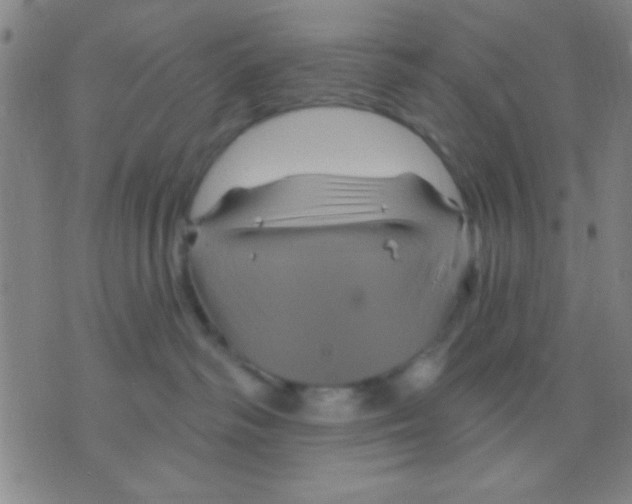 X0000075900334200610151822