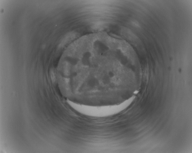 X0000075900335200610151822