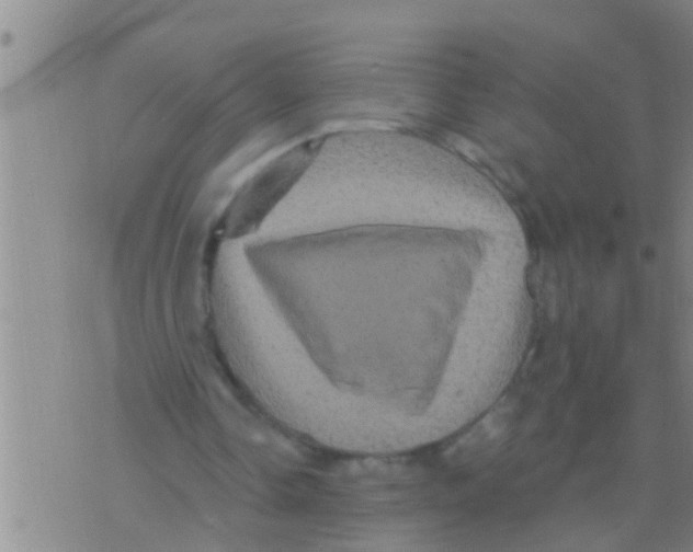 X0000075900338200610151821