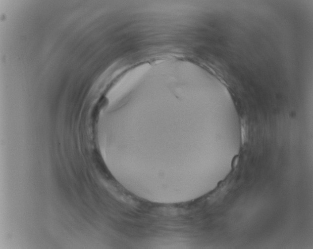 X0000075900339200610151821