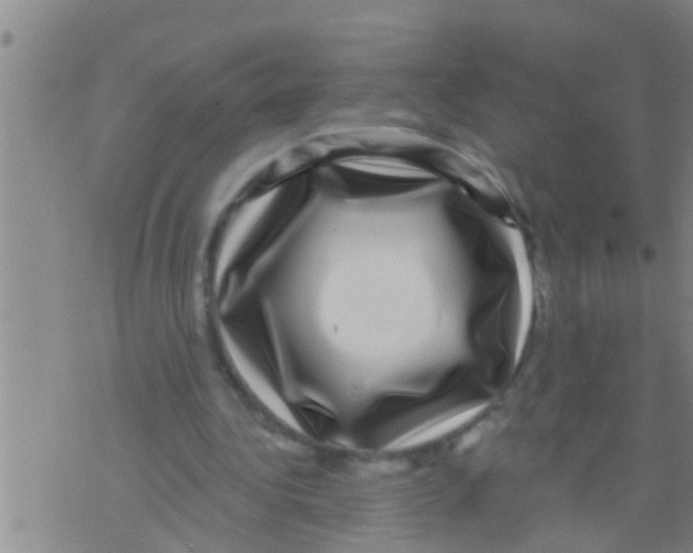 X0000075900340200610151821