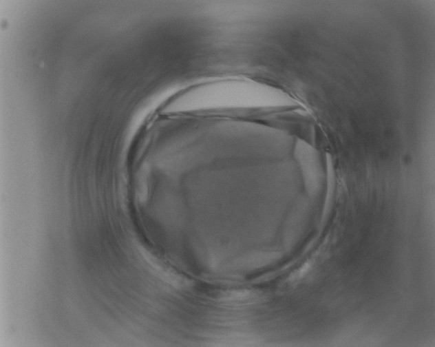 X0000075900342200610151822