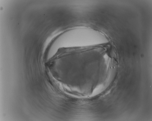 X0000075900343200610151822