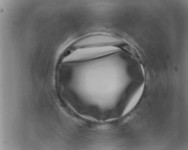 X0000075900344200610151822