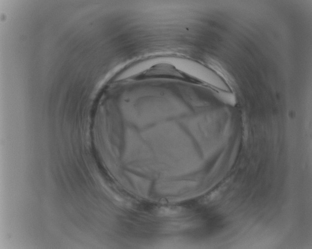 X0000075900346200610151822