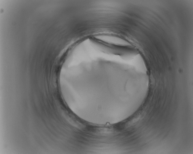 X0000075900347200610151822