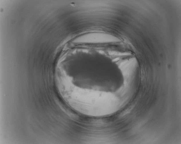 X0000075900349200610151822