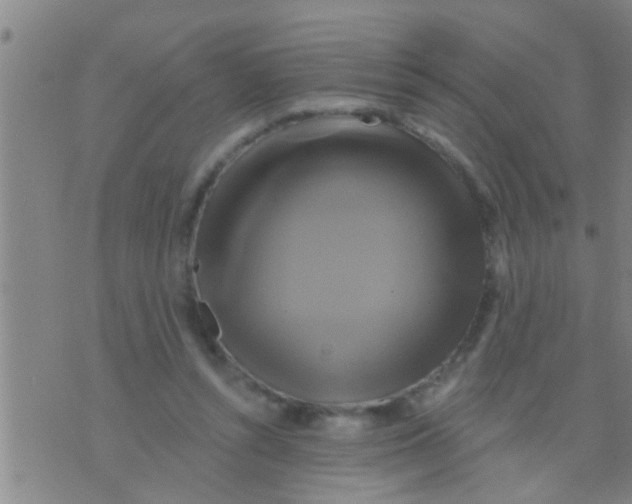 X0000075900352200610151822