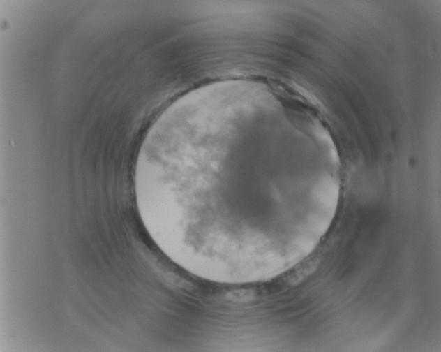 X0000075900353200610151822