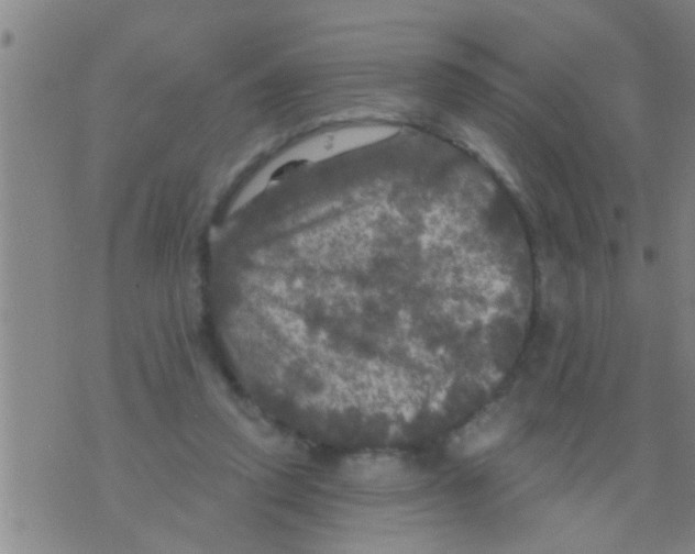 X0000075900354200610151822