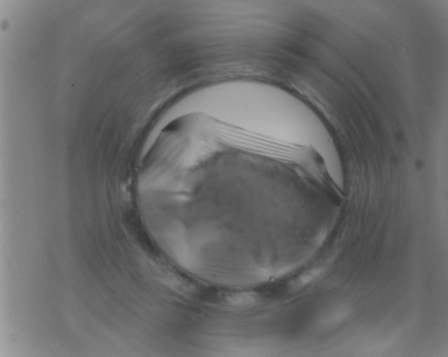 X0000075900355200610151822