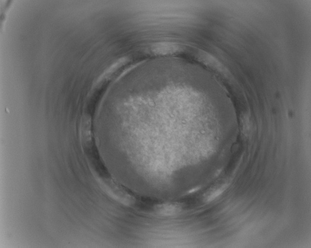 X0000075900356200610151822