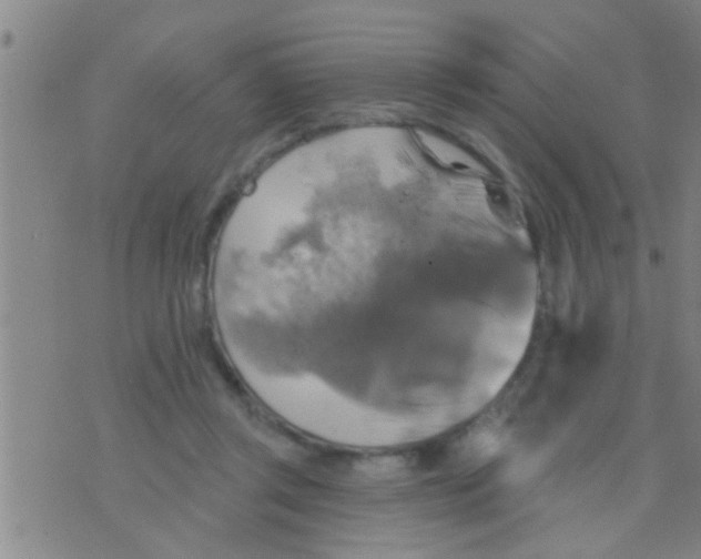 X0000075900357200610151822