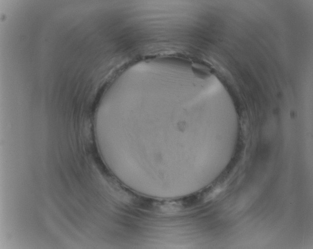 X0000075900359200610151822