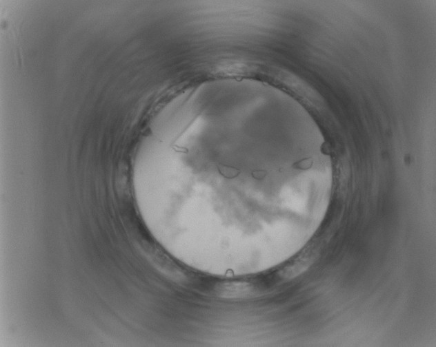 X0000075900361200610151822