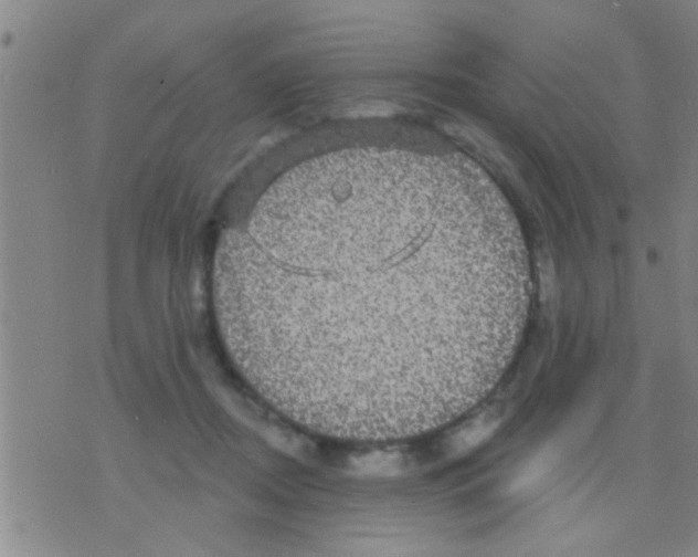 X0000075900362200610151822