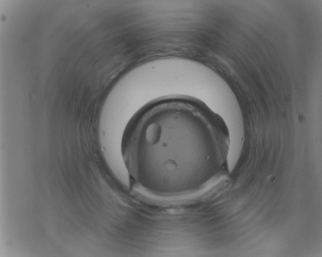 X0000075900364200610151822