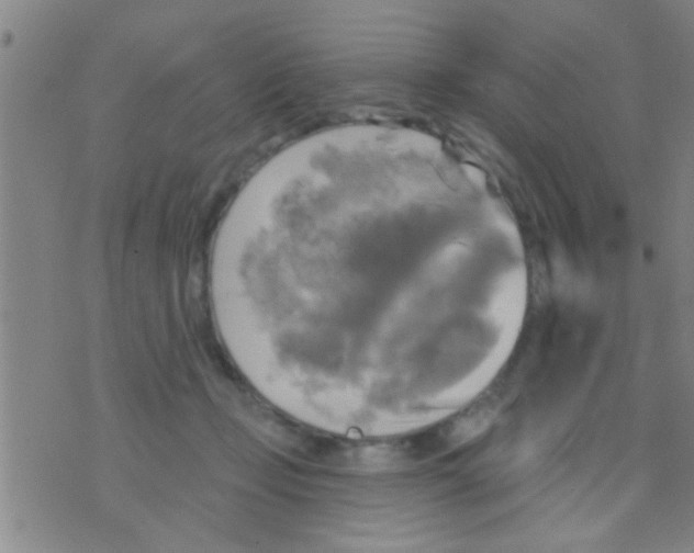 X0000075900365200610151822