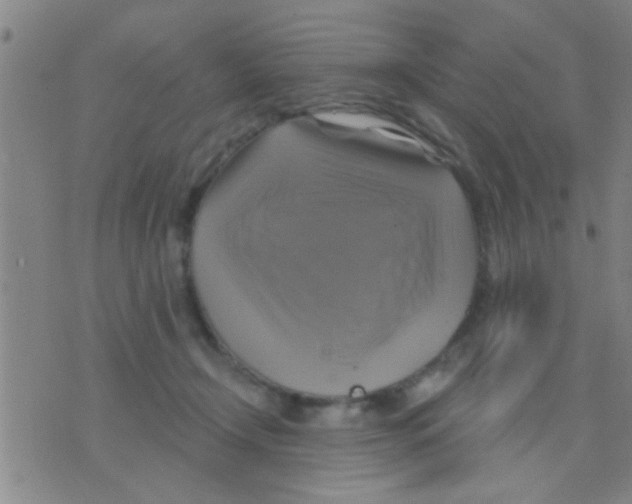 X0000075900366200610151822