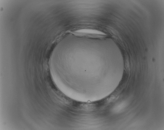 X0000075900367200610151822