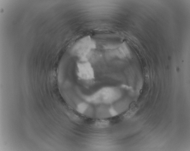 X0000075900369200610151822