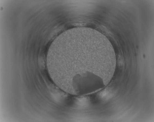 X0000075900370200610151822