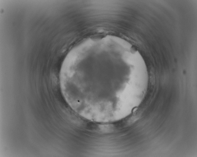 X0000075900371200610151822