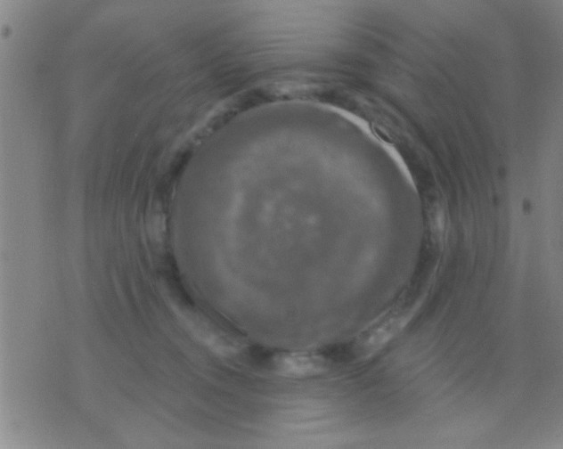 X0000075900372200610151822