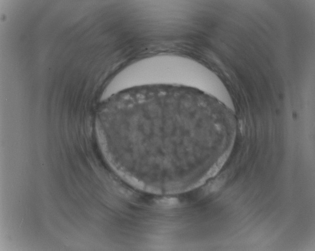 X0000075900374200610151822