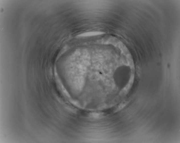 X0000075900375200610151822