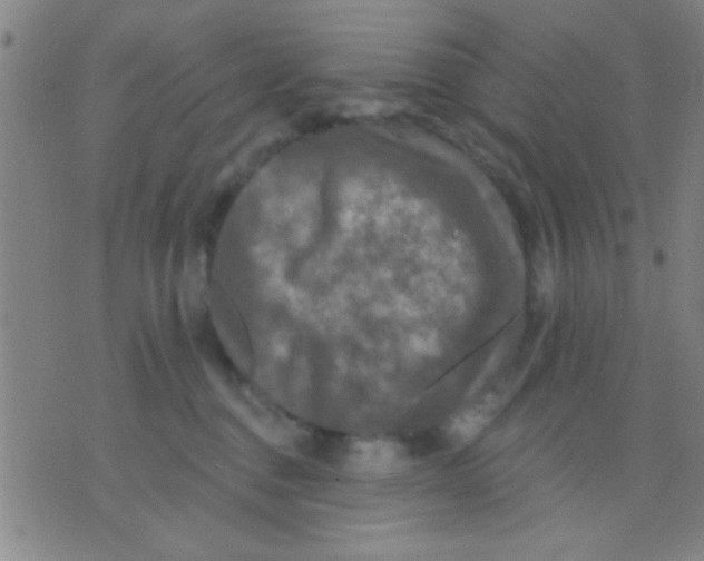 X0000075900376200610151822