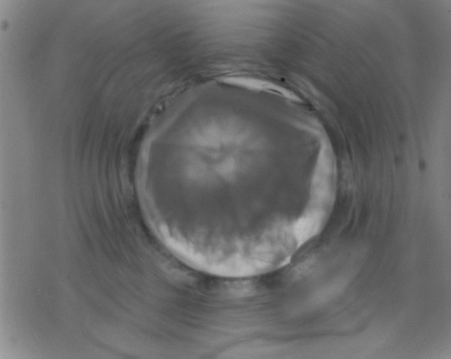 X0000075900377200610151822