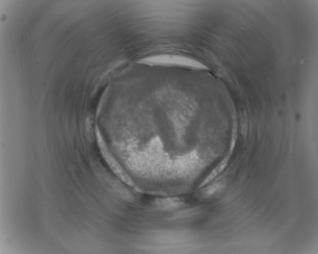 X0000075900378200610151822