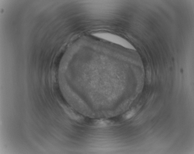 X0000075900379200610151822