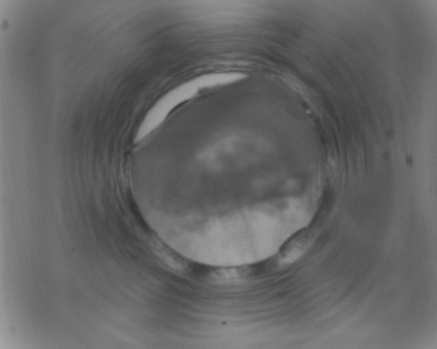 X0000075900381200610151822