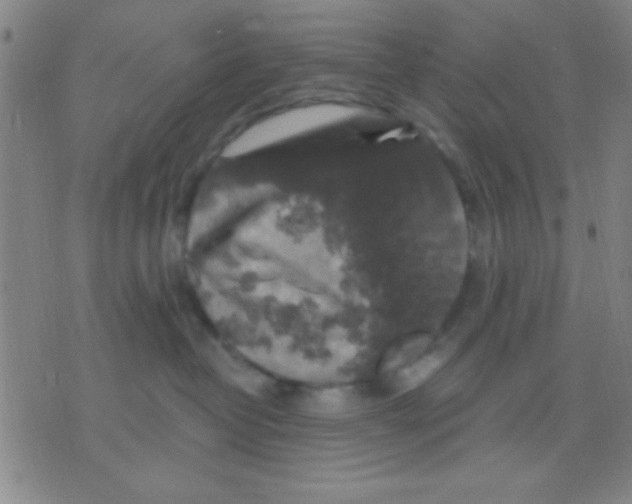 X0000075900382200610151822