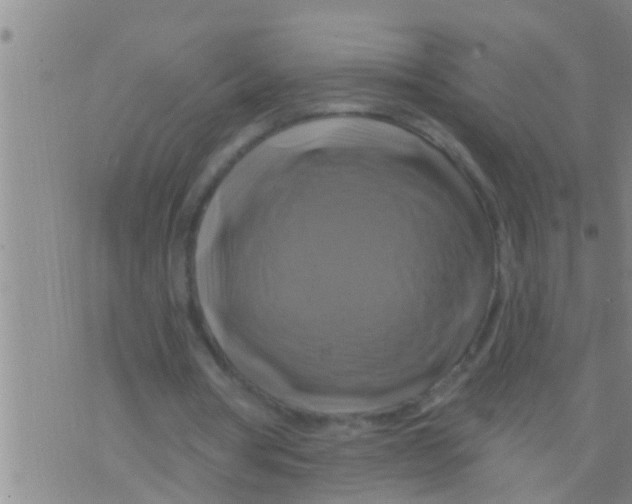 X0000075900386200610151821