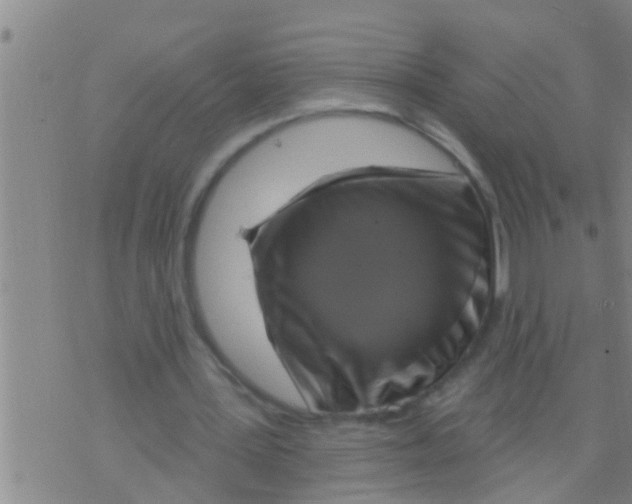 X0000075900387200610151821