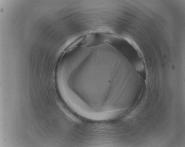 X0000075900389200610151821