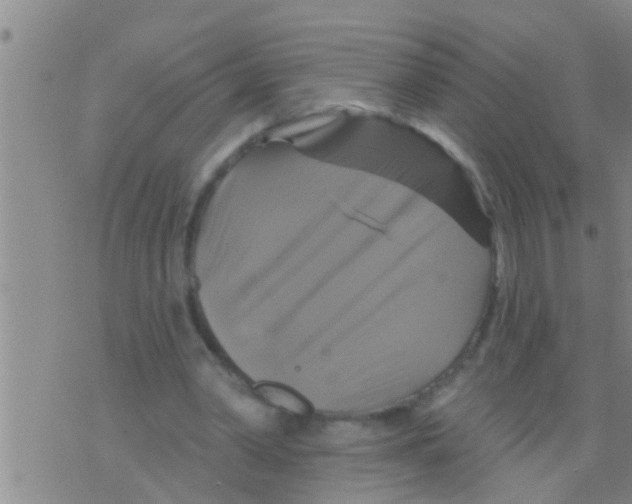 X0000075900390200610151821