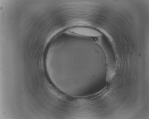 X0000075900391200610151821