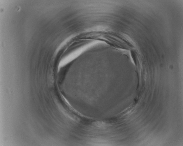 X0000075900392200610151821