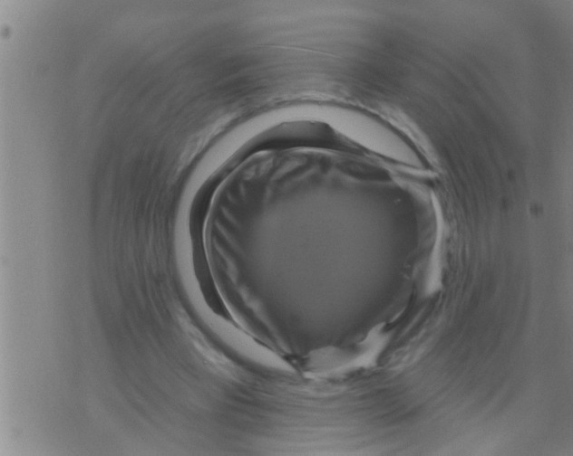 X0000075900393200610151821