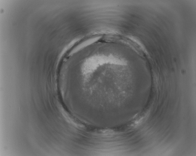 X0000075900395200610151821