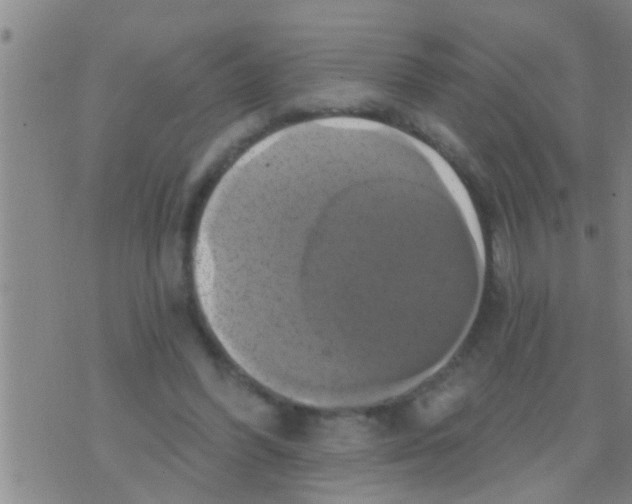 X0000075900396200610151821